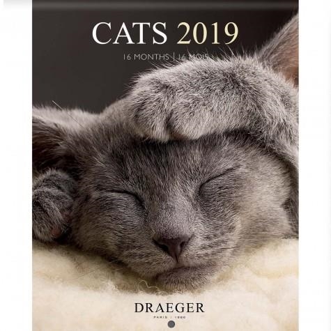 CALENDARI CATS 2019 16 MESOS DRAEGER | 3045677930752 | DRAEGER | Llibreria Online de Banyoles | Comprar llibres en català i castellà online