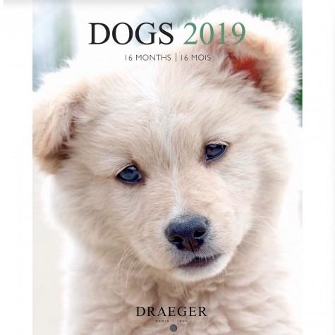 CALENDARI PETIT DOGS 2019 16 MESOS DRAEGER | 3045677930769 | DRAEGER | Llibreria Online de Banyoles | Comprar llibres en català i castellà online