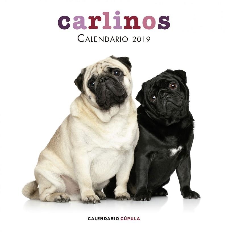 CALENDARIO CARLINOS 2019 | 9788448024680 | AA. VV. | Llibreria Online de Banyoles | Comprar llibres en català i castellà online