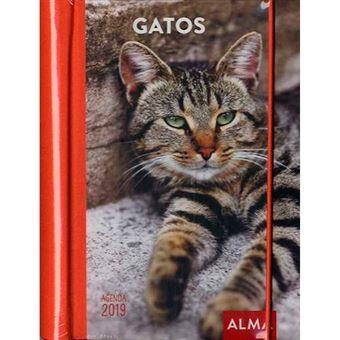 2019 AGENDA GATOS | 8437012673823 | Llibreria Online de Banyoles | Comprar llibres en català i castellà online