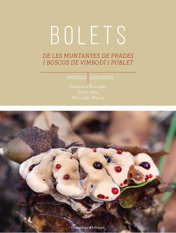 BOLETS DE LES MUNTANYES DE PRADES I BOSCOS DE VIMBODÍ I POBLET | 9788490347584 | BARRAJÓN IBÁÑEZ, FRANCISCO/PIGEM CIURANA, MARIA MERCEDES/MAS CARRE, ADELA | Llibreria Online de Banyoles | Comprar llibres en català i castellà online