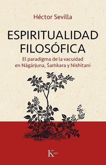 ESPIRITUALIDAD FILOSÓFICA | 9788499886374 | SEVILLA GODÍNEZ, HÉCTOR | Llibreria Online de Banyoles | Comprar llibres en català i castellà online