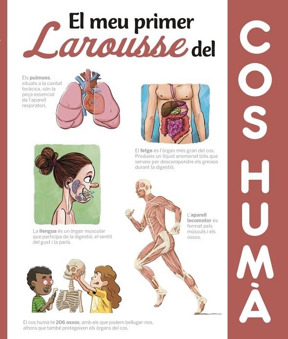 EL MEU PRIMER LAROUSSE DEL COS HUMÀ | 9788417273606 | LAROUSSE EDITORIAL | Llibreria Online de Banyoles | Comprar llibres en català i castellà online