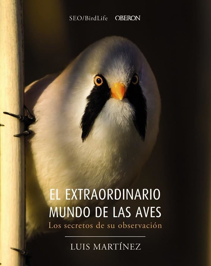 EL EXTRAORDINARIO MUNDO DE LAS AVES. LOS SECRETOS DE SU OBSERVACIÓN | 9788441540330 | SOCIEDAD ESPAÑOLA DE ORNITOLOGÍA | Llibreria Online de Banyoles | Comprar llibres en català i castellà online