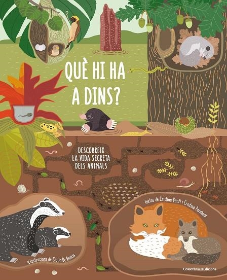 QUE HI HA A DINS? | 9788490347607 | BANFI BANFI, CRISTINA/PERABONI PERABONI, CRISTINA | Llibreria Online de Banyoles | Comprar llibres en català i castellà online