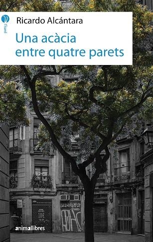 ACÀCIA ENTRE QUATRE PARETS, UNA | 9788417599010 | ALCÁNTARA SGARBI, RICARDO | Llibreria Online de Banyoles | Comprar llibres en català i castellà online