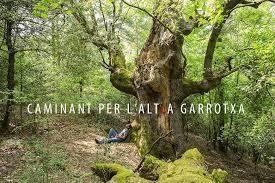 CAMINANT PER L'ALTRA GARROTXA | 9788480671606 | SERRA SABATÉ, ESTEVE | Llibreria Online de Banyoles | Comprar llibres en català i castellà online