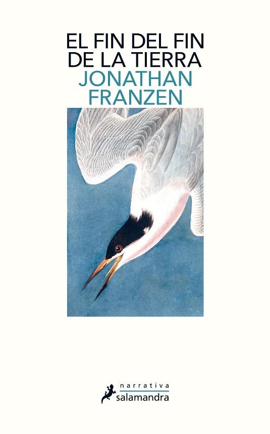 FIN DEL FIN DE LA TIERRA, EL | 9788498389340 | FRANZEN, JONATHAN | Llibreria Online de Banyoles | Comprar llibres en català i castellà online