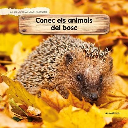 CONEC ELS ANIMALS DEL BOSC | 9788417599218 | LAMOUR-CROCHET, CÉLINE | Llibreria Online de Banyoles | Comprar llibres en català i castellà online