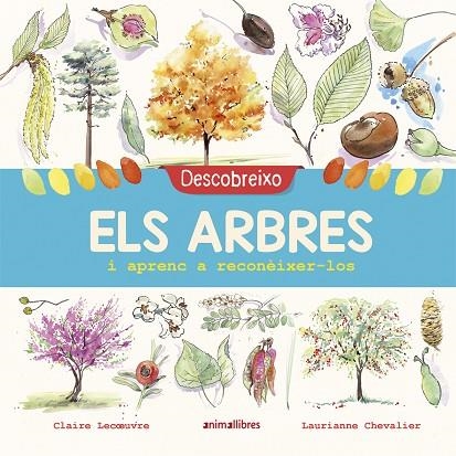 DESCOBREIXO ELS ARBRES I APRENC A RECONÈIXER-LOS | 9788417599195 | LECOEUVRE, CLAIRE | Llibreria Online de Banyoles | Comprar llibres en català i castellà online