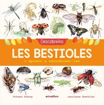 DESCOBREIXO LES BESTIOLES I APRENC A RECONÈIXER-LES | 9788417599201 | Llibreria Online de Banyoles | Comprar llibres en català i castellà online