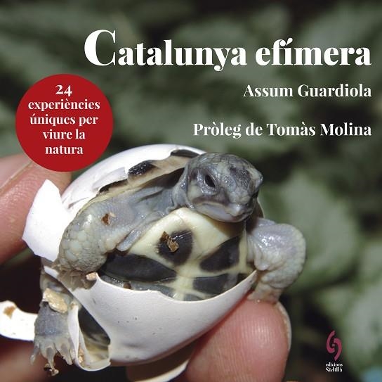 CATALUNYA EFÍMERA | 9788494928147 | GUARDIOLA, ASSUM | Llibreria L'Altell - Llibreria Online de Banyoles | Comprar llibres en català i castellà online - Llibreria de Girona