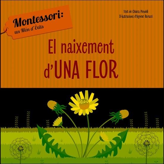 EL NAIXEMENT D'UNA FLOR (VVKIDS) | 9788468261737 | CH. PIRODDI | Llibreria Online de Banyoles | Comprar llibres en català i castellà online