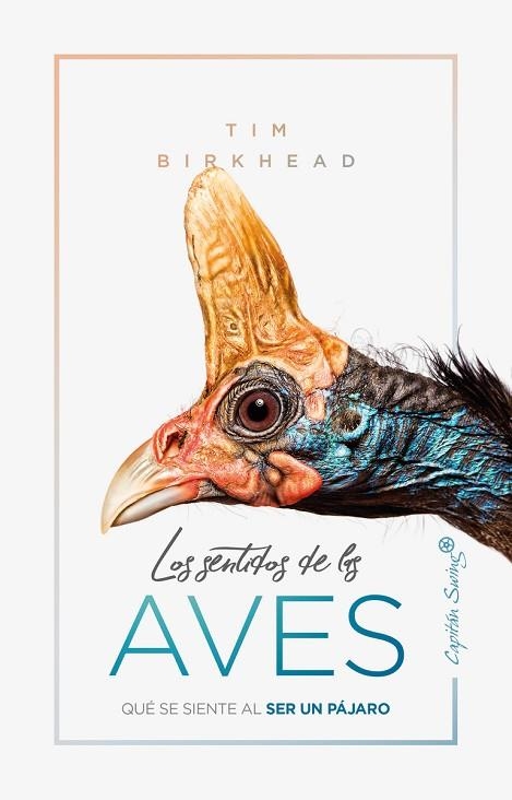 SENTIDOS DE LAS AVES, LOS | 9788412064506 | BIRKHEAD, TIM | Llibreria Online de Banyoles | Comprar llibres en català i castellà online