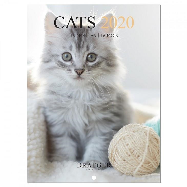 CALENDARI 16 MESOS PETIT 18X18 CATS 2020 | 3045677979188 | DRAEGER | Llibreria Online de Banyoles | Comprar llibres en català i castellà online