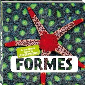 FORMES | 9788417497286 | AAVV | Llibreria Online de Banyoles | Comprar llibres en català i castellà online