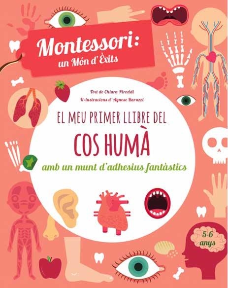 EL MEU PRIMER LLIBRE DEL COS HUMA (VVKIDS) | 9788468250052 | PIRODDI, CHIARA | Llibreria Online de Banyoles | Comprar llibres en català i castellà online