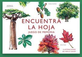 ENCUENTRA LA HOJA | 8425402405833 | EXLEY, HOLLY | Llibreria Online de Banyoles | Comprar llibres en català i castellà online