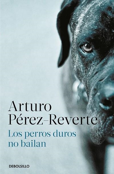 PERROS DUROS NO BAILAN, LOS | 9788466350594 | PÉREZ-REVERTE, ARTURO | Llibreria Online de Banyoles | Comprar llibres en català i castellà online