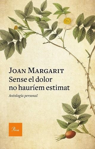 SENSE EL DOLOR NO HAURÍEM ESTIMAT | 9788475888293 | MARGARIT, JOAN | Llibreria Online de Banyoles | Comprar llibres en català i castellà online