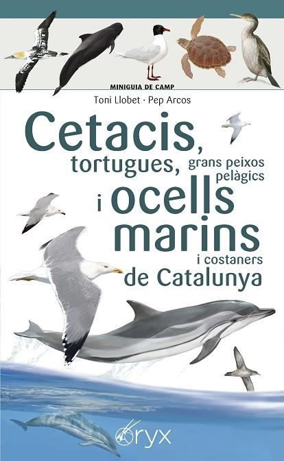 CETACIS, TORTUGUES, GRANS PEIXOS PELÀGICS I OCELLS MARINS DE CATALUNYA | 9788490349441 | LLOBET FRANÇOIS , TONI/ARCOS XX, PEP | Llibreria Online de Banyoles | Comprar llibres en català i castellà online