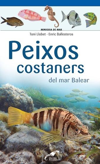 PEIXOS COSTANERS DEL MAR BALEAR | 9788490349403 | LLOBET FRANÇOIS , TONI/BALLESTEROS SAGARRA , ENRIC | Llibreria Online de Banyoles | Comprar llibres en català i castellà online