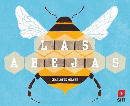 ABEJAS, LAS | 9788413181936 | MILNER, CHARLOTTE | Llibreria Online de Banyoles | Comprar llibres en català i castellà online