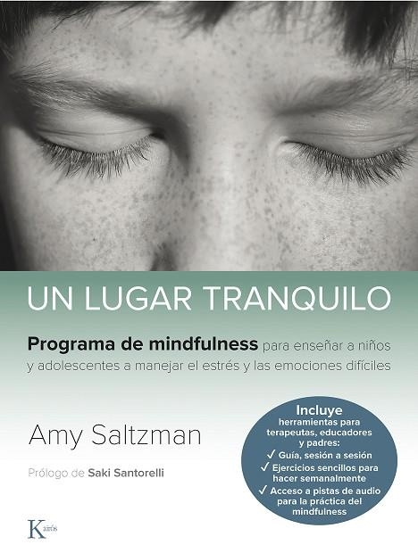 UN LUGAR TRANQUILO | 9788499887562 | SALTZMAN, AMY | Llibreria Online de Banyoles | Comprar llibres en català i castellà online