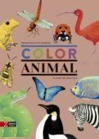 COLOR ANIMAL - CATALÀ | 9788417374648 | EMMANUELLE FUIGUERAS I CLAIRE DE GASTOLD | Llibreria Online de Banyoles | Comprar llibres en català i castellà online