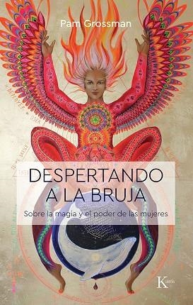 DESPERTANDO A LA BRUJA | 9788499887586 | GROSSMAN, PAM | Llibreria Online de Banyoles | Comprar llibres en català i castellà online