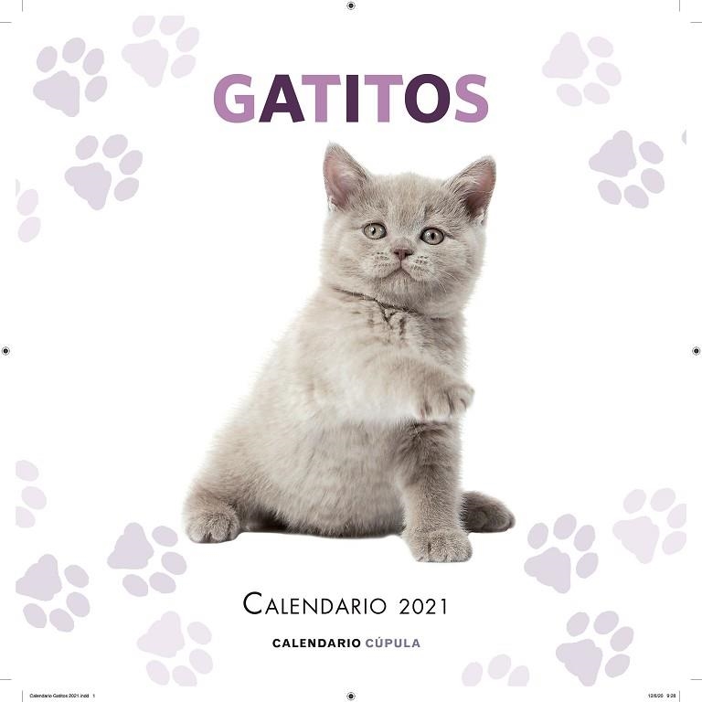 CALENDARIO GATITOS 2021 | 9788448027681 | AA. VV. | Llibreria Online de Banyoles | Comprar llibres en català i castellà online