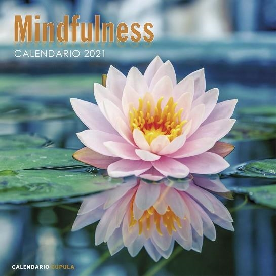 CALENDARIO MINDFULNESS 2021 | 9788448027735 | AA. VV. | Llibreria Online de Banyoles | Comprar llibres en català i castellà online