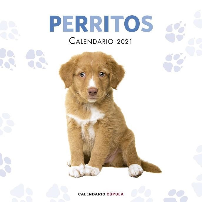 CALENDARIO PERRITOS 2021 | 9788448027766 | AA. VV. | Llibreria Online de Banyoles | Comprar llibres en català i castellà online