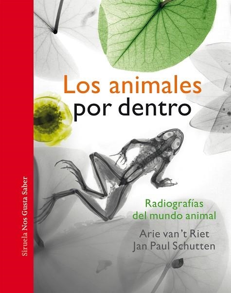 ANIMALES POR DENTRO, LOS | 9788417996963 | SCHUTTEN, JAN PAUL | Llibreria L'Altell - Llibreria Online de Banyoles | Comprar llibres en català i castellà online - Llibreria de Girona