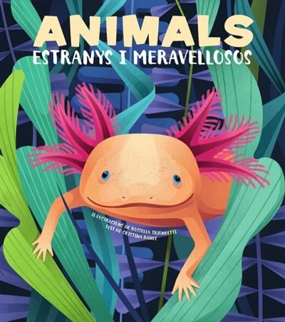 ANIMALS EXTRANYS I MERAVELLOSOS | 9788468270685 | BANFI, CRISTINA | Llibreria Online de Banyoles | Comprar llibres en català i castellà online