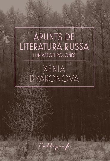 APUNTS DE LITERATURA RUSSA I UN AFEGIT POLONÈS | 9788412212358 | DYAKONOVA, XÈNIA | Llibreria Online de Banyoles | Comprar llibres en català i castellà online