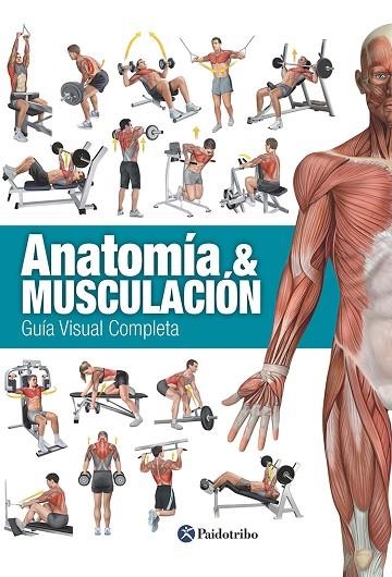 ANATOMÍA & MUSCULACIÓN. GUÍA VISUAL COMPLETA (COLOR) | 9788499104911 | CÁNOVAS LINARES, RICARDO | Llibreria Online de Banyoles | Comprar llibres en català i castellà online