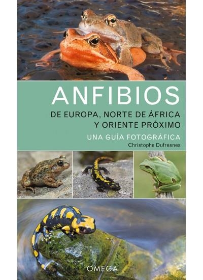 ANFIBIOS DE EUROPA, NORTE DE AFRICA Y ORIENTE PROXIMO | 9788428217330 | DUFRESNES, CH. | Llibreria Online de Banyoles | Comprar llibres en català i castellà online