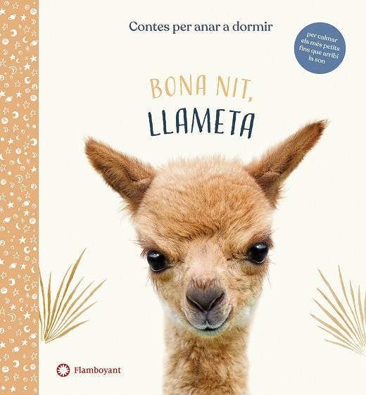 BONA NIT, LLAMETA | 9788417749958 | WOOD, AMANDA | Llibreria Online de Banyoles | Comprar llibres en català i castellà online