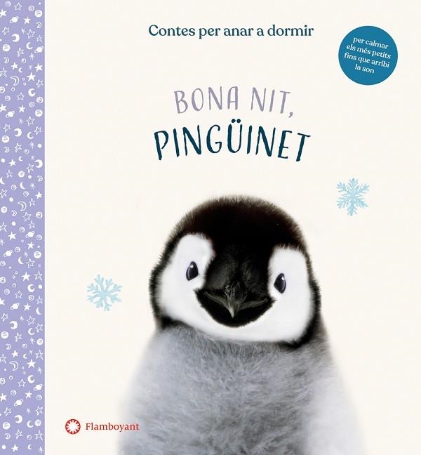 BONA NIT, PINGÜINET | 9788417749972 | WOOD, AMANDA | Llibreria Online de Banyoles | Comprar llibres en català i castellà online