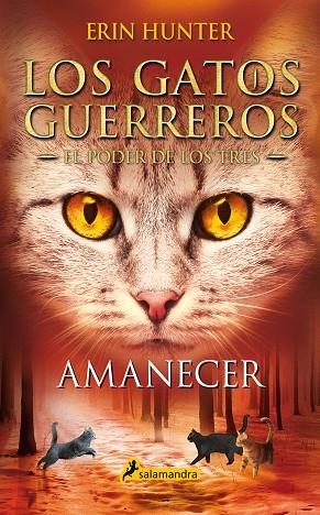 AMANECER (LOS GATOS GUERREROS | EL PODER DE LOS TRES 6) | 9788418174056 | HUNTER, ERIN | Llibreria Online de Banyoles | Comprar llibres en català i castellà online