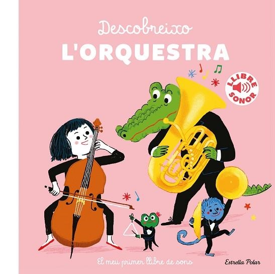 DESCOBREIXO L'ORQUESTRA | 9788418443404 | ROEDERER, CHARLOTTE | Llibreria Online de Banyoles | Comprar llibres en català i castellà online