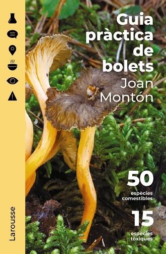 GUIA PRÀCTICA DE BOLETS | 9788418473852 | MONTÓN MARTÍNEZ, JOAN | Llibreria Online de Banyoles | Comprar llibres en català i castellà online