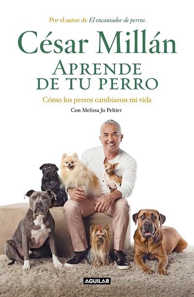 APRENDE DE TU PERRO | 9788403518445 | MILLÁN, CÉSAR | Llibreria Online de Banyoles | Comprar llibres en català i castellà online