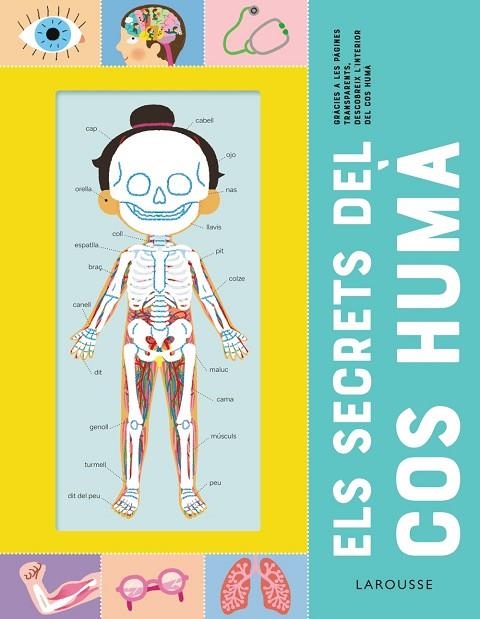 ELS SECRETS DEL COS HUMÀ | 9788418473227 | ÉDITIONS LAROUSSE | Llibreria Online de Banyoles | Comprar llibres en català i castellà online