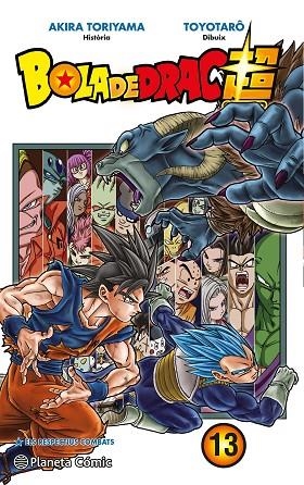 BOLA DE DRAC SUPER Nº 13 | 9788491730323 | TORIYAMA, AKIRA/TOYOTARÔ | Llibreria Online de Banyoles | Comprar llibres en català i castellà online