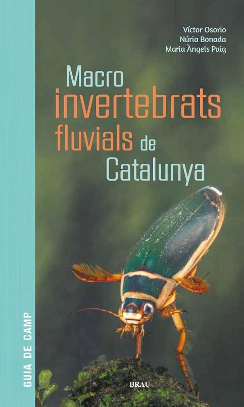 MACROINVERTEBRATS FLUVIALS DE CATALUNYA | 9788418096204 | OSORIO ÁLVAREZ, VÍCTOR/PUIG GARCÍA, M. ÁNGELES/BONADA CAPARRÓS, NÚRIA | Llibreria Online de Banyoles | Comprar llibres en català i castellà online