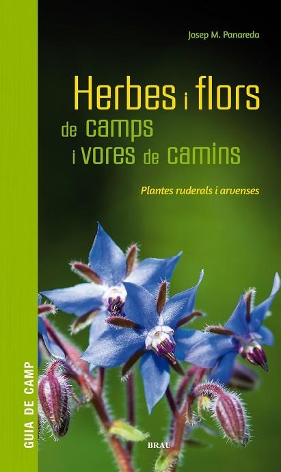 HERBES I FLORS DE CAMPS I VORES DE CAMINS | 9788418096082 | PANAREDA CLOPÉS, JOSEP M | Llibreria Online de Banyoles | Comprar llibres en català i castellà online