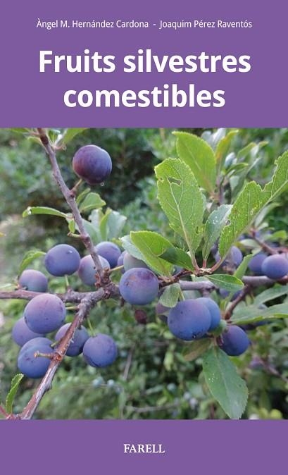 FRUITS SILVESTRES COMESTIBLES | 9788417116415 | HERN?NDEZ CARDONA, ËNGEL M. | Llibreria Online de Banyoles | Comprar llibres en català i castellà online