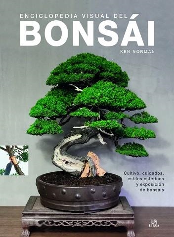 ENCICLOPEDIA VISUAL DEL BONSÁI | 9788466241014 | NORMAN, KEN | Llibreria Online de Banyoles | Comprar llibres en català i castellà online